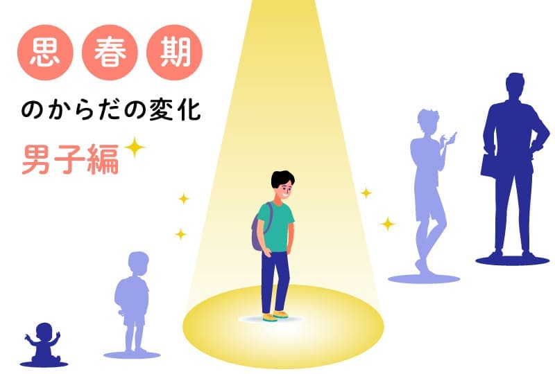 思春期のからだの変化　男子編