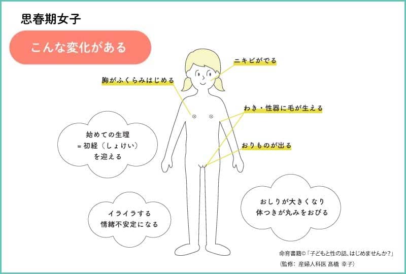 思春期女子こんな変化がある